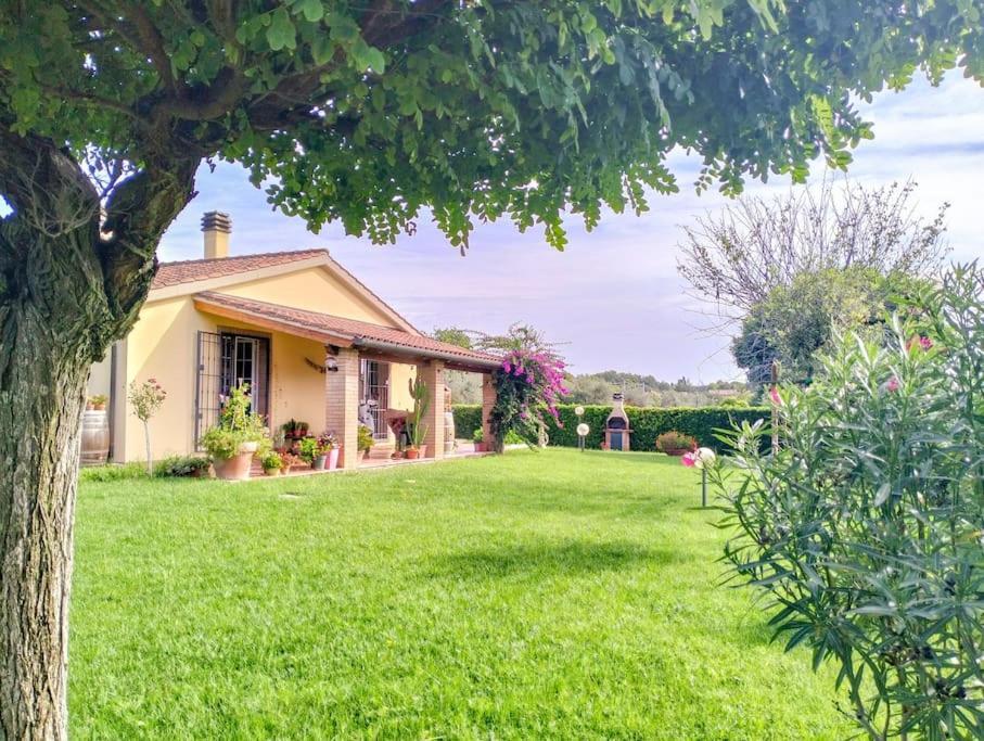 Villetta Rio, Large Private Garden Cecina (Livorno) Exterior foto